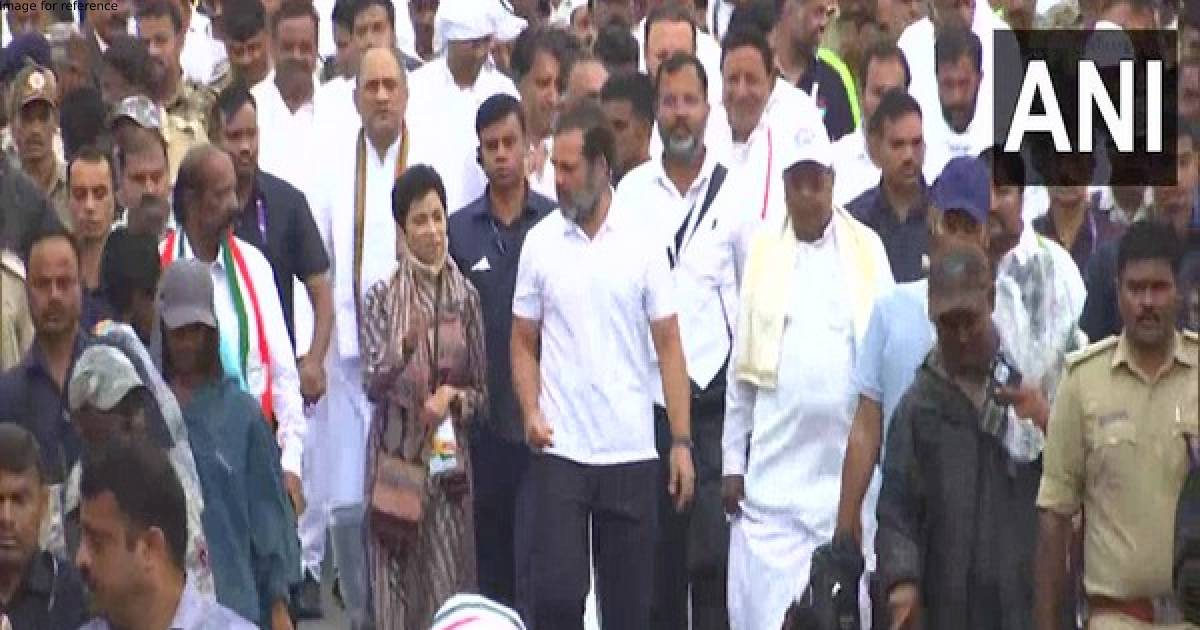 Rahul Gandhi resumes Bharat Jodo Yatra from Karnataka's Bommagondanahalli on 36th day